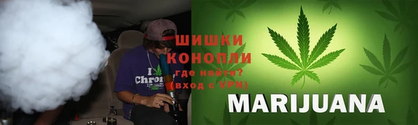 apvp Алзамай