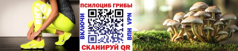 купить наркотик  omg ССЫЛКА  Псилоцибиновые грибы мицелий  Каргополь 