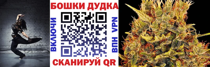 MEGA зеркало  Каргополь  Конопля OG Kush 